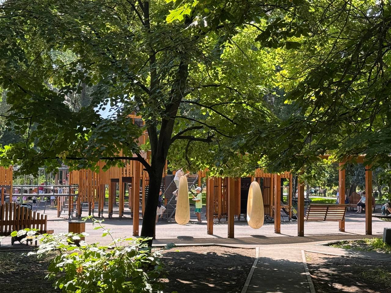 photo_2026-08-07_14-37-45.jpg photo_2026-08-07_14-37-45.jpg